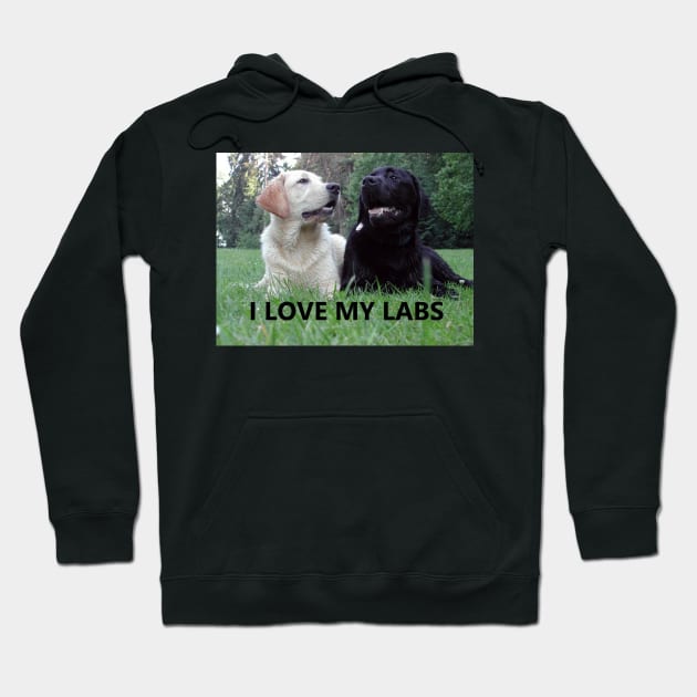 Lab Love with PIcture Hoodie by Wanderingangel